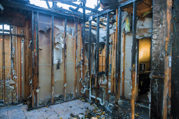 Professional Fire Damage Repair technician working in Beallsville, MD